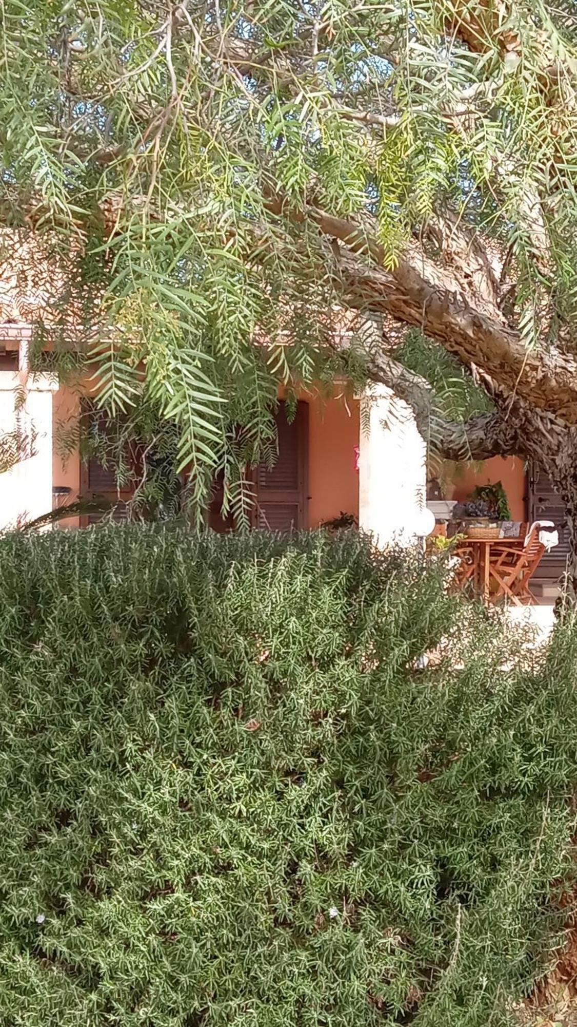 Oniro Specchia Bed and Breakfast Eksteriør billede